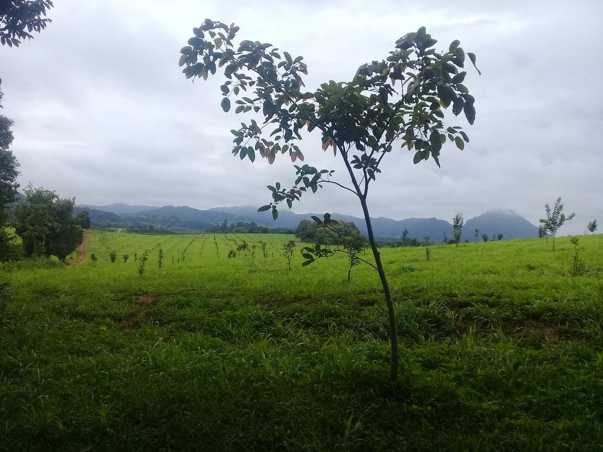 Baan Suan Jantra Home Stay Чианграй Экстерьер фото