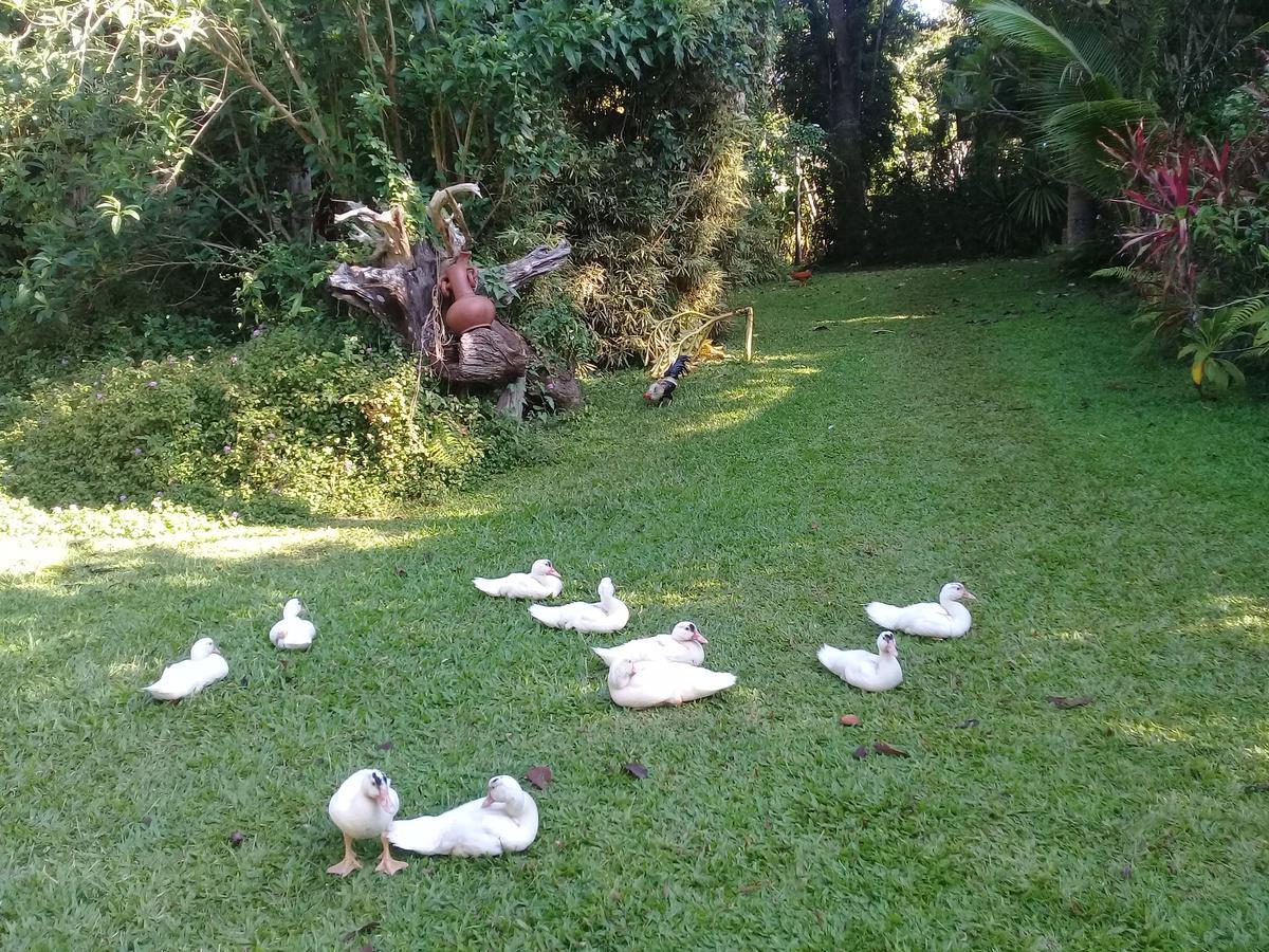 Baan Suan Jantra Home Stay Чианграй Экстерьер фото